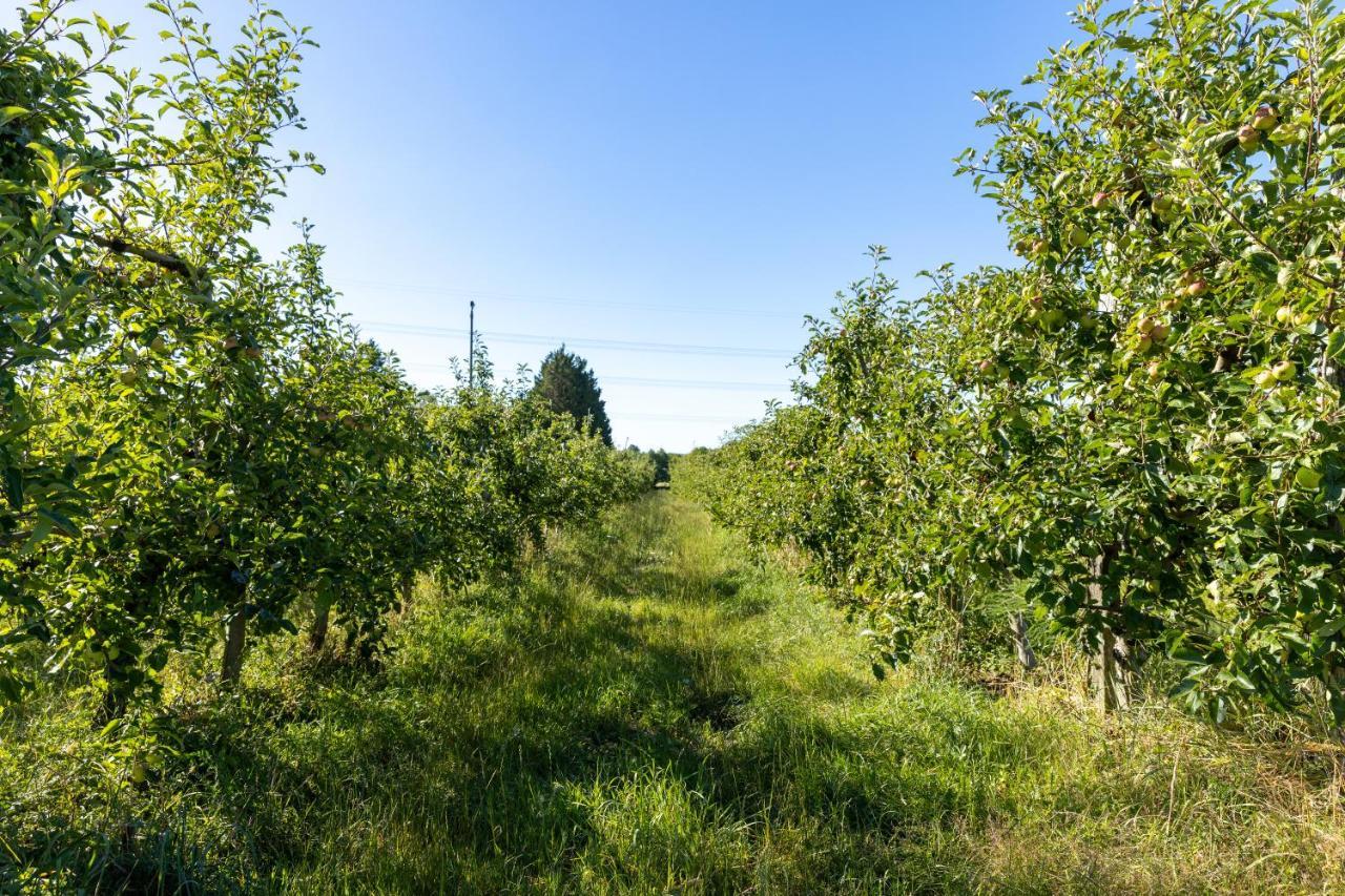 Pomme De Reinette Villa Азе-ле-Ридо Екстериор снимка